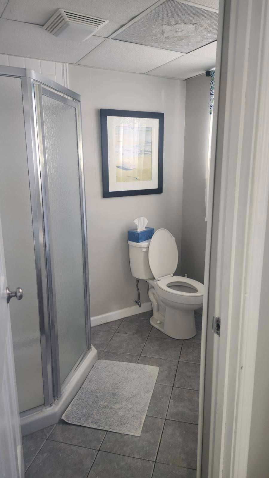 Small bathroom with shower, toilet, and artwork; grey walls and floor; white ceiling.