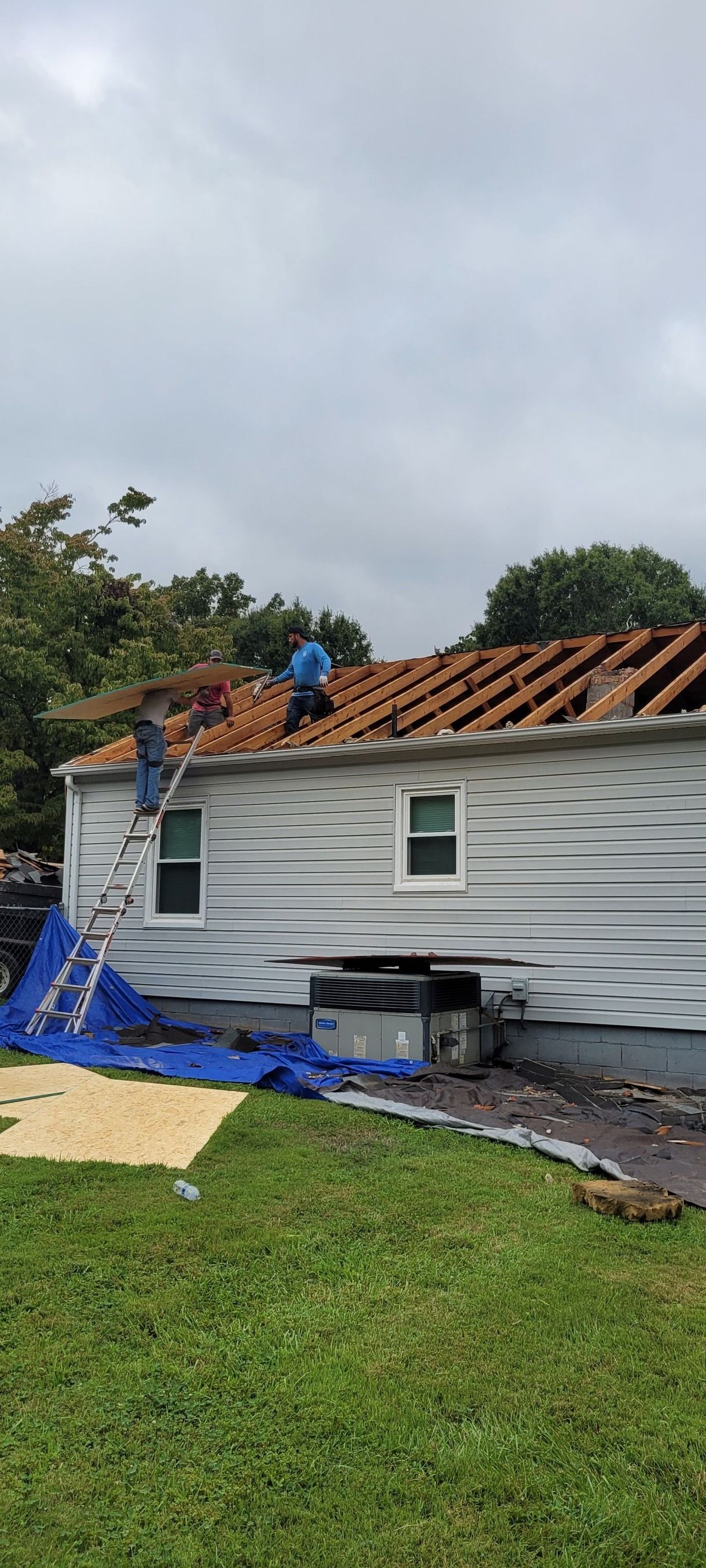 Roofers removing old shingles from a house with a ladder and blue tarp. Cloudy sky overhead.