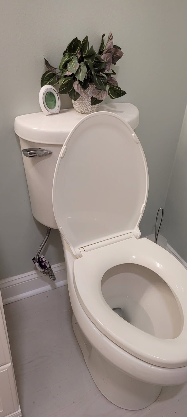 A toilet with the lid up, next to the wall with some plants and a small clock on the tank.
