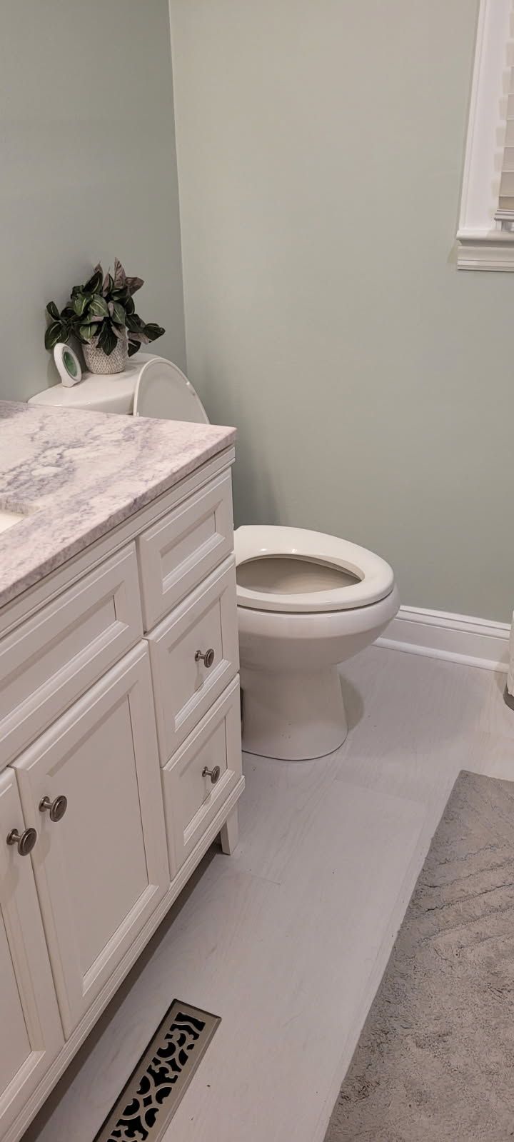 A bathroom with a white vanity, toilet, and light gray floor. Green walls and a window are visible.