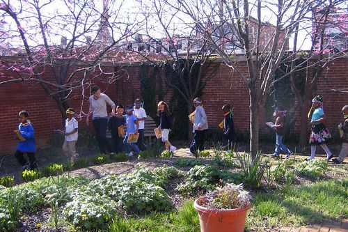 A group of people are walking through a garden.