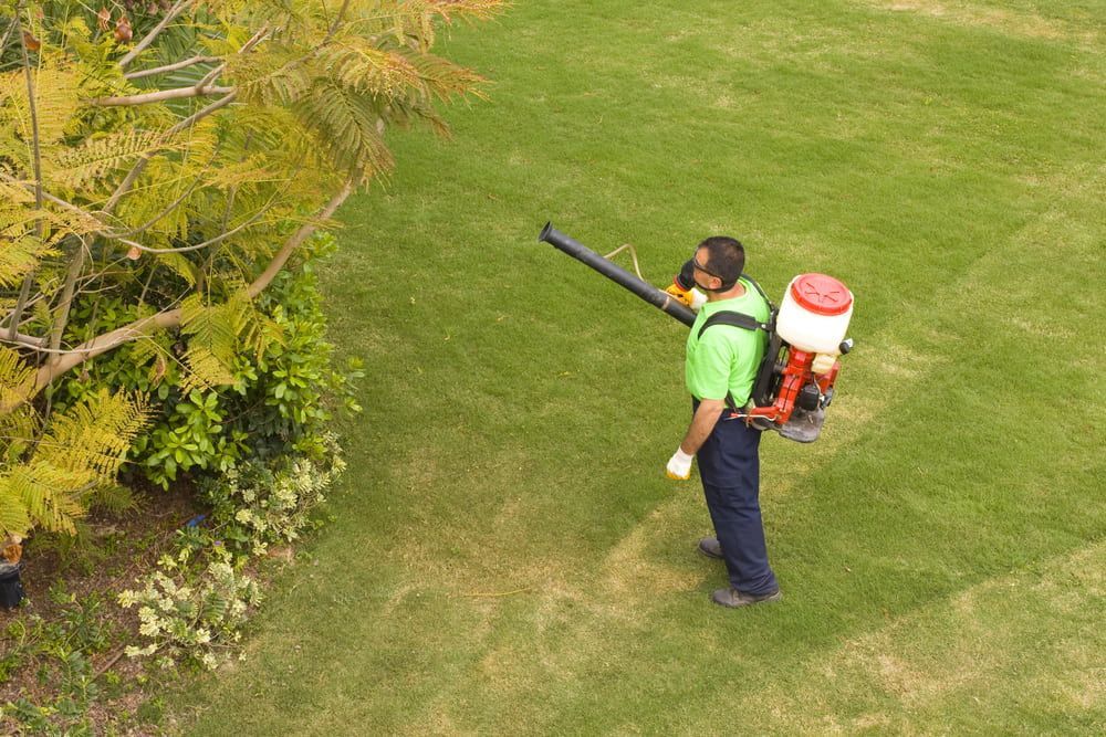 A Man Is Spraying A Lawn With A Backpack Sprayer — Caban's Pest Control In Ballina, NSW