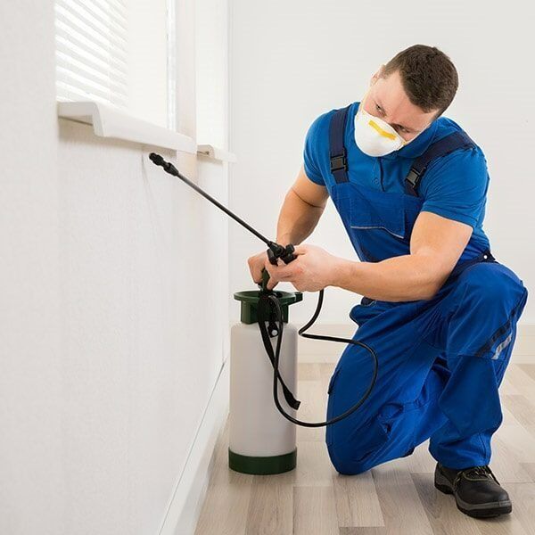 A Man Wearing A Mask Is Spraying A Wall With A Sprayer — Caban's Pest Control In Casino, NSW