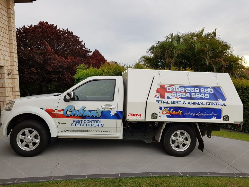 A White Truck With A Canopy Is Parked In A Driveway — Caban's Pest Control In Goonellabah, NSW