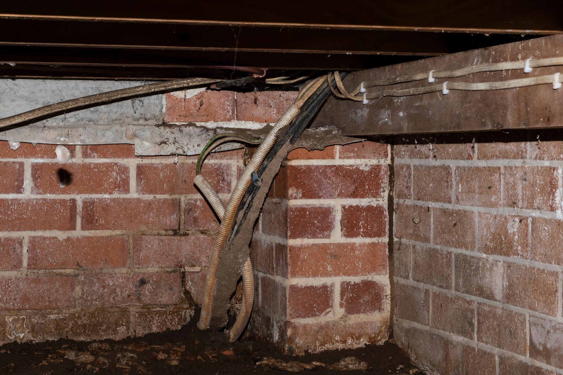 A Person Wearing Gloves Is Holding A Piece Of Wood That Has Been Eaten By Termites — Caban's Pest Control In Goonellabah, NSW
