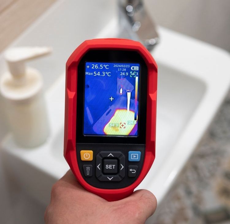 A Person Is Holding A Magnifying Glass With Two Ants On It — Caban's Pest Control In Goonellabah, NSW