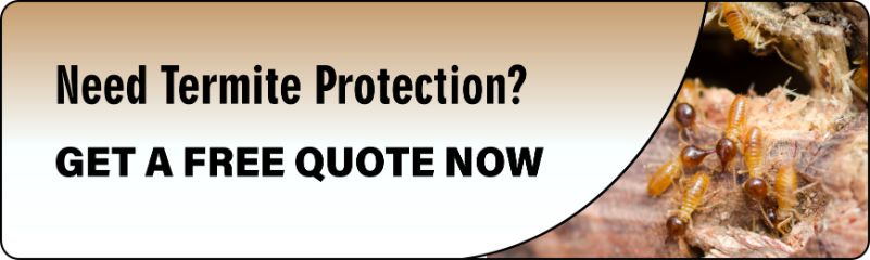 A sign that says need termite protection get a free quote now.