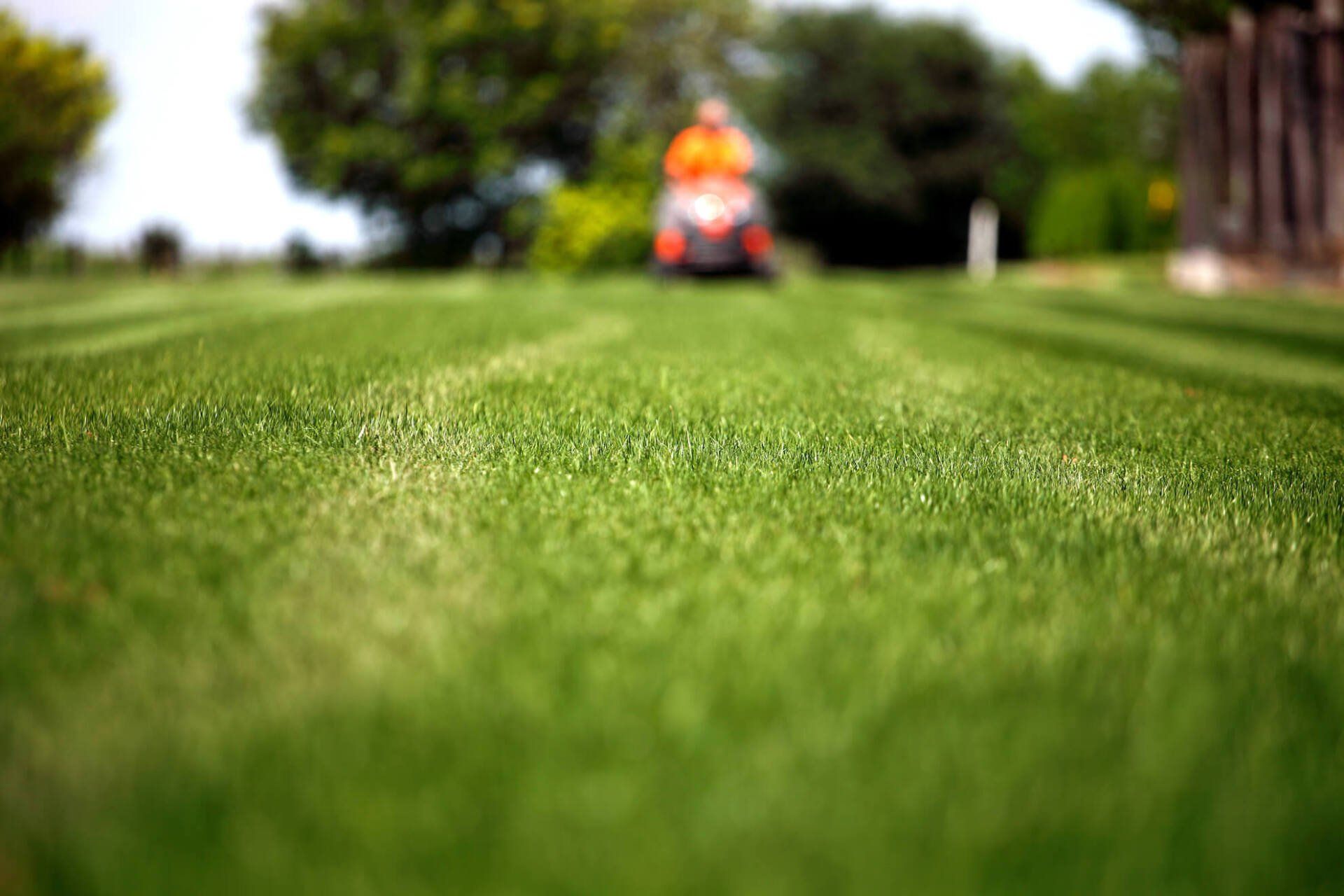 A man is riding a lawn mower on a lush green lawn.