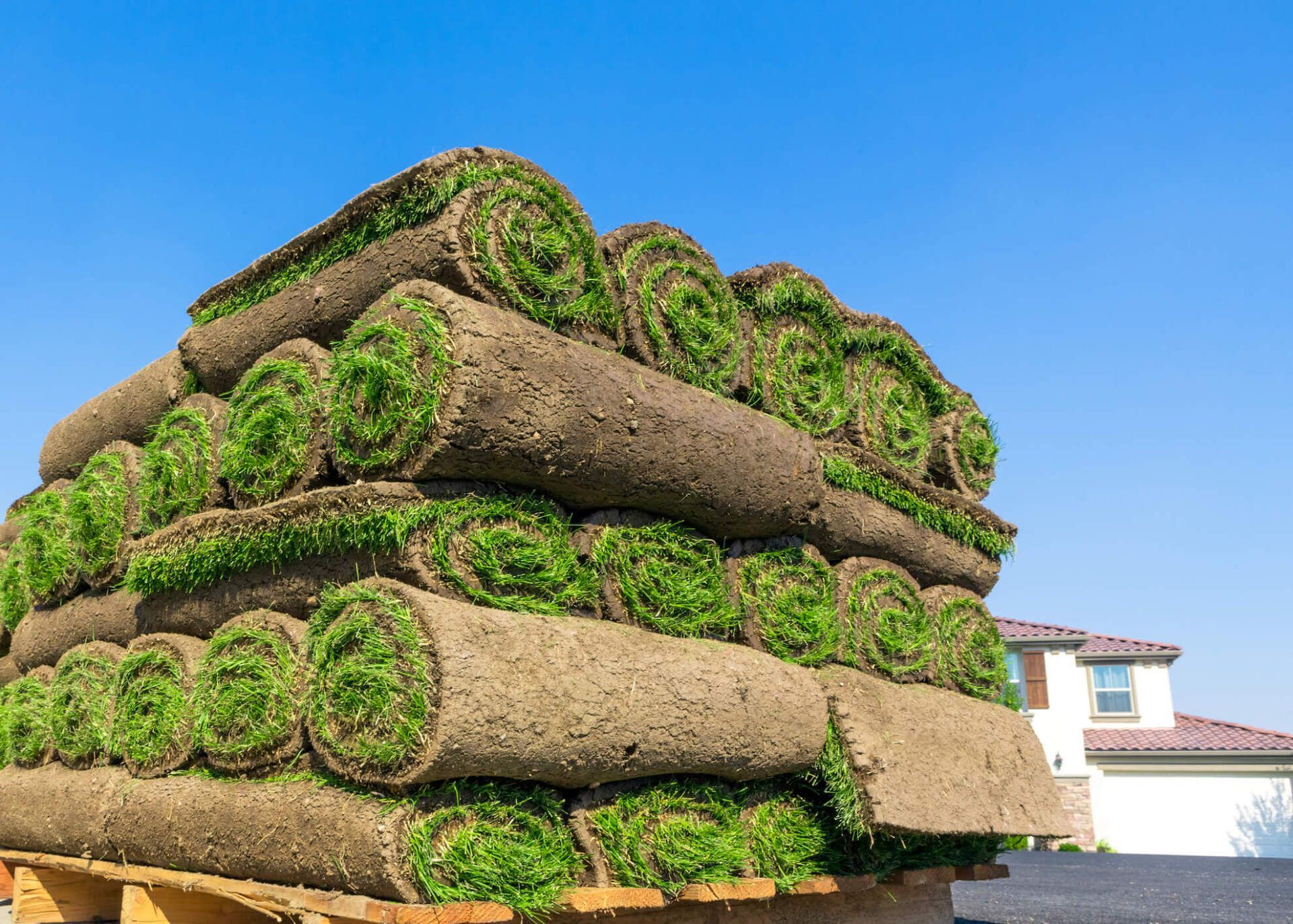 A pile of rolls of turf sitting on top of a wooden pallet.