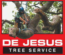 De Jesus Tree Service
