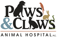Paws & Claws Animal Clinic Wilmington, NC