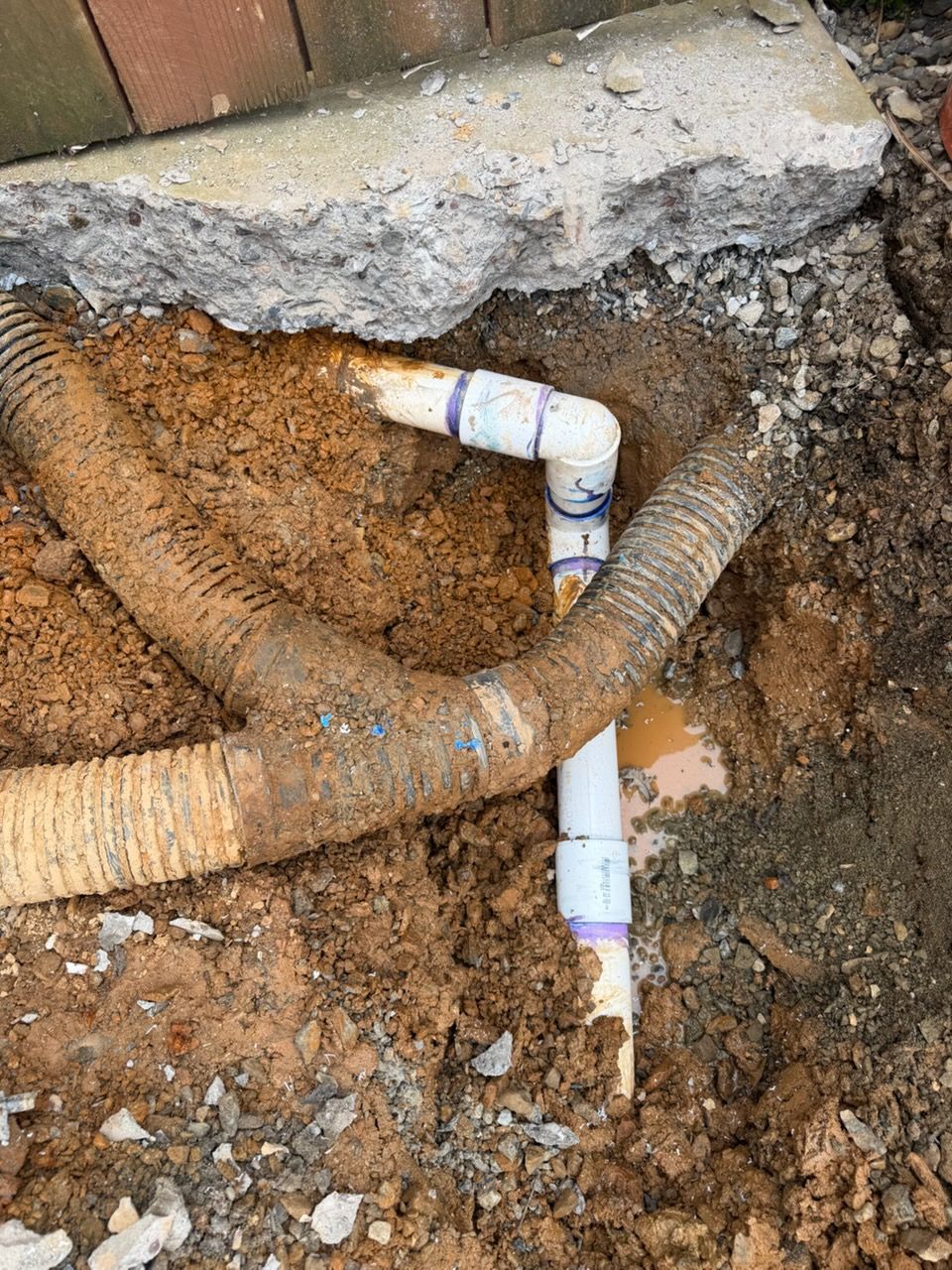 A white PVC plumbing pipe with a 90-degree elbow joint sits in a hole in the dirt, partially covered by flexible drain pipes.