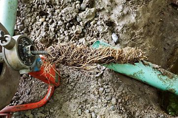 A plumber's auger removing a large clump of roots from a green pipe, set in a dirt trench.