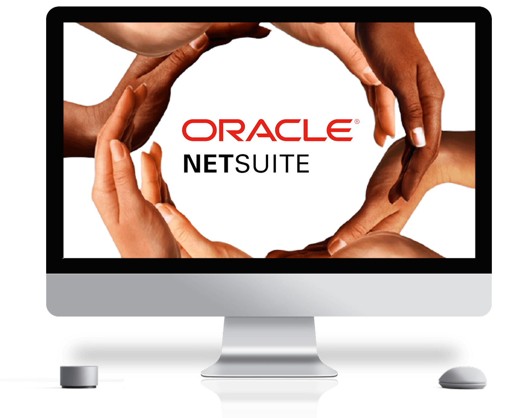 Oracle NetSuite para ONGs