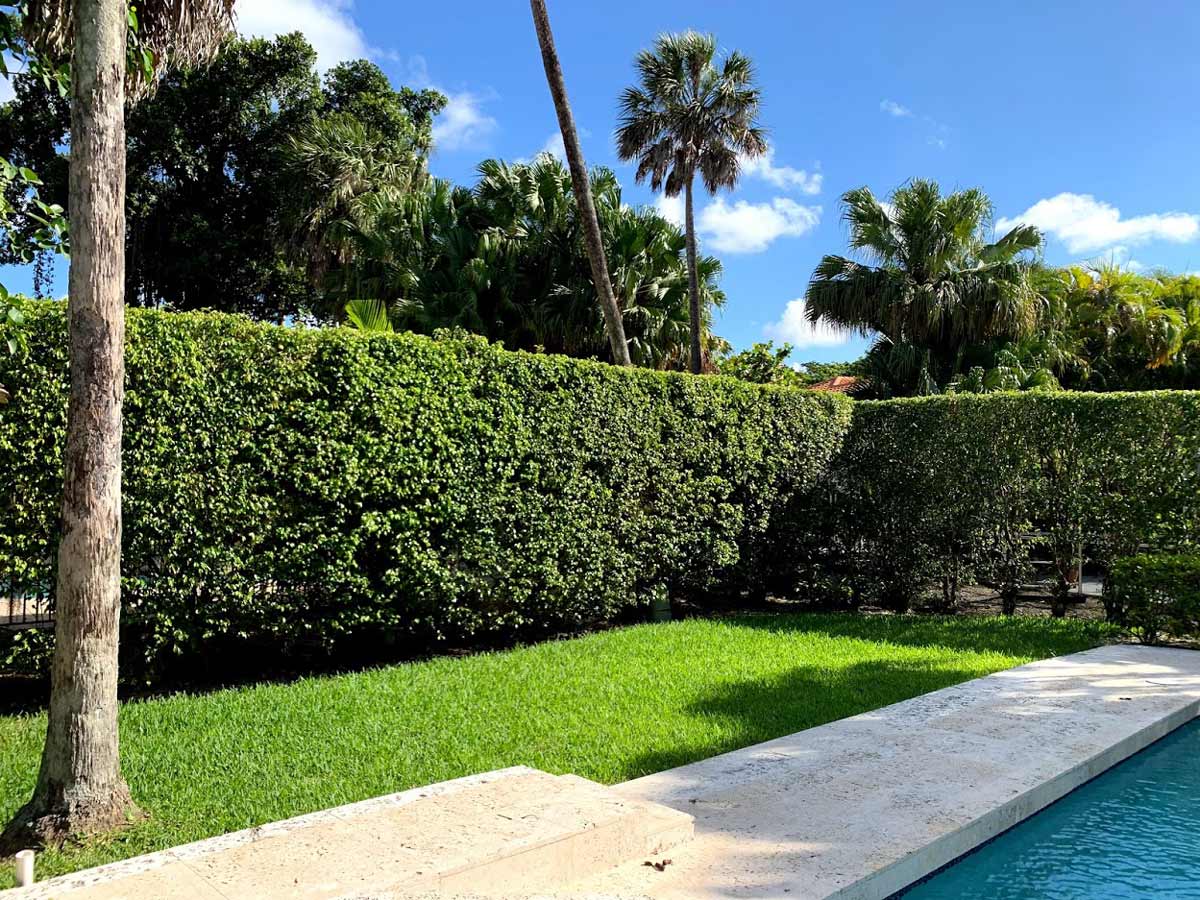 Hedge Removal — Sunrise, FL — First Class Fence & Rail, Inc.