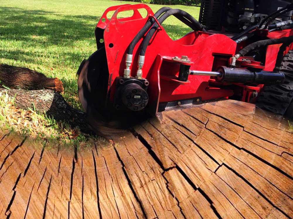Stump Grinding Services — Sunrise, FL — First Class Fence & Rail, Inc.