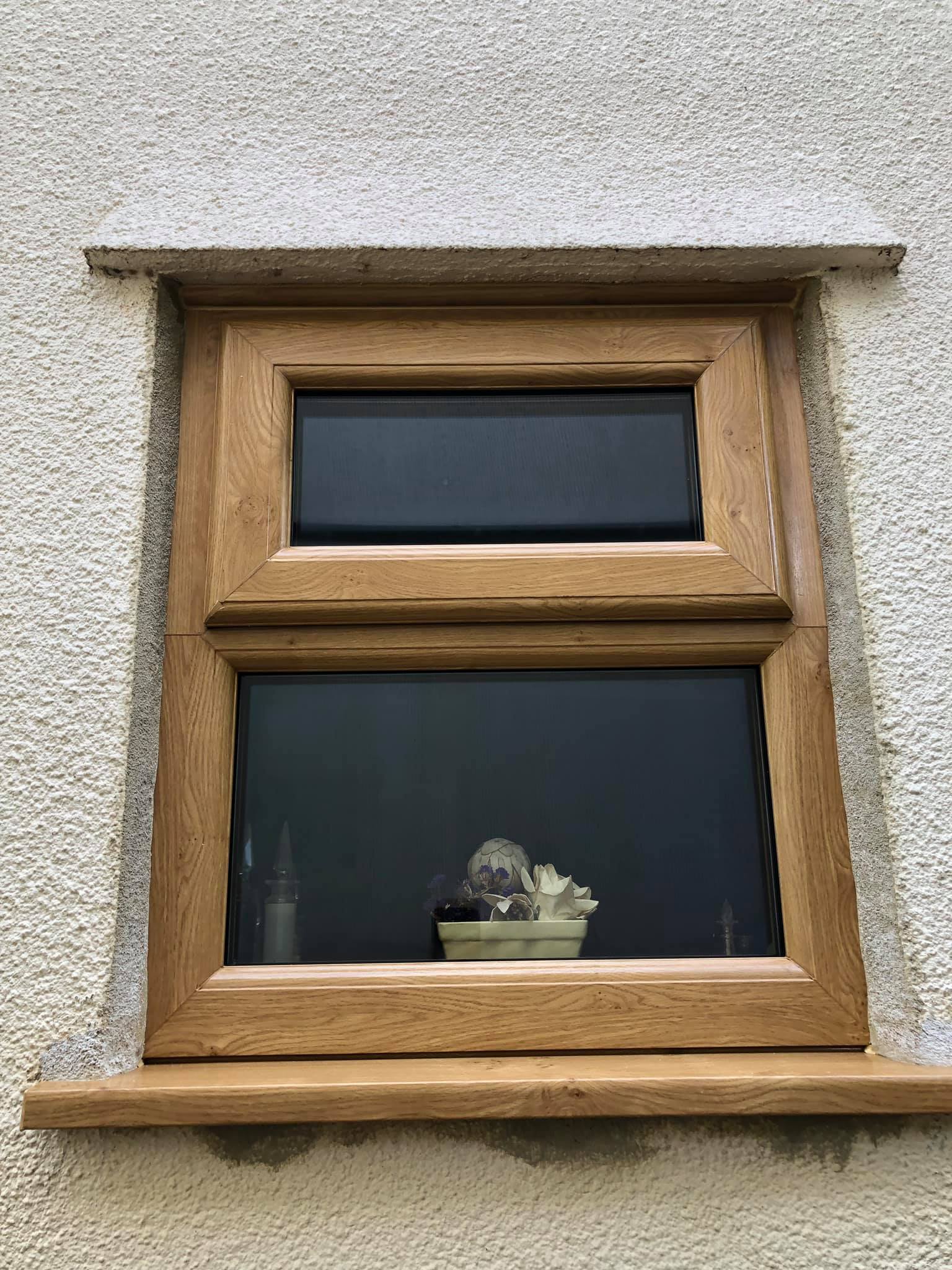 A window with a potted plant in it on a wall.