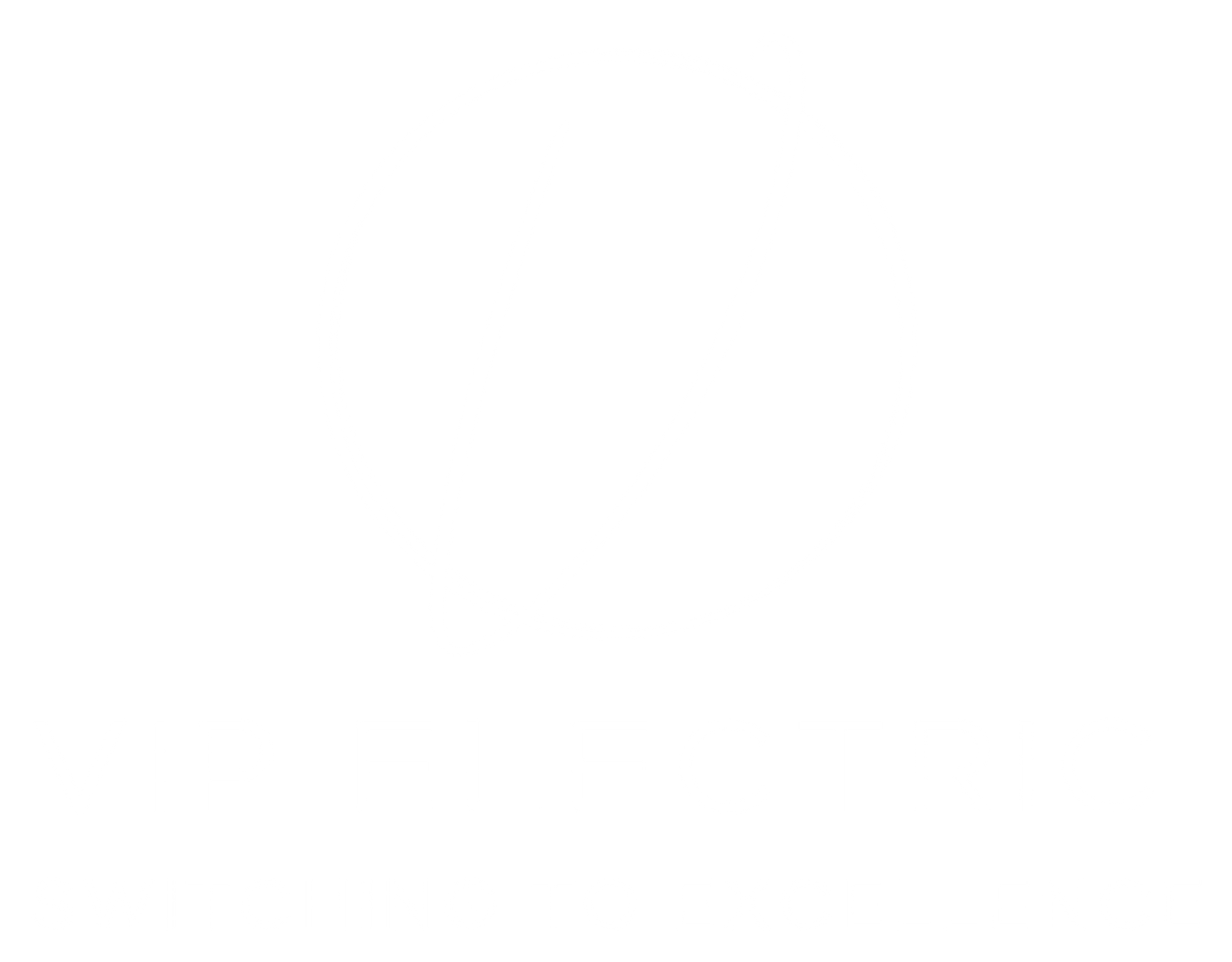 VIP Electric, Electrician