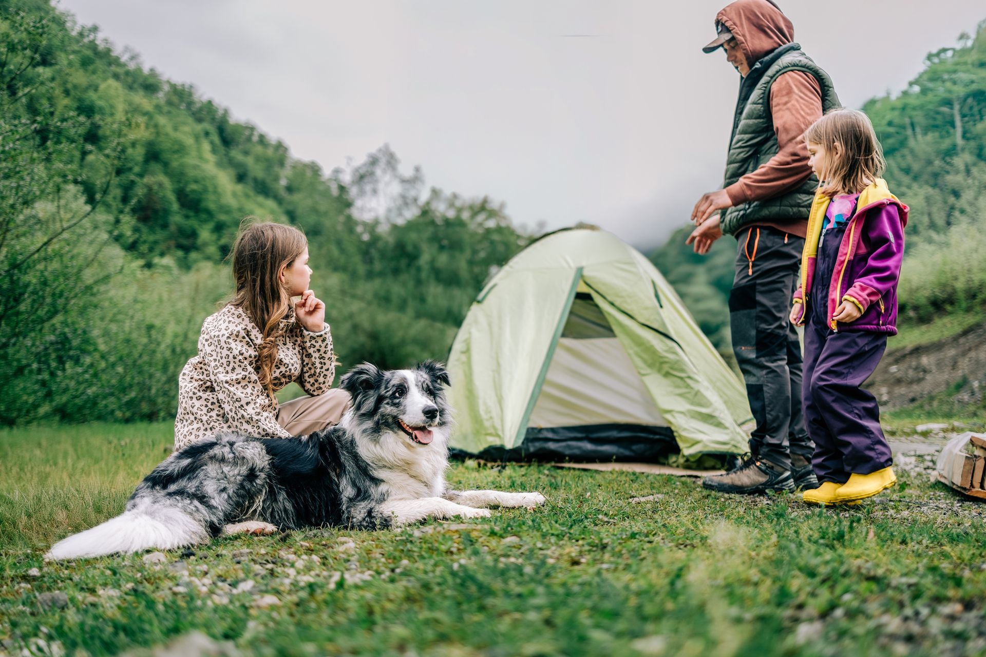 Family camping near a tent in the mountains with a dog. Family camping near a tent in the mountains with a dog.
