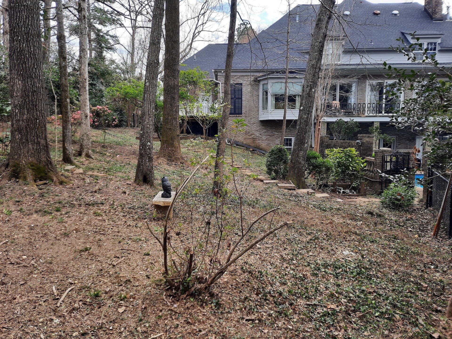 Yard Cleared of Leaves and Trees