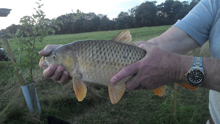 Jockhedge Holiday Cottages - Touring Site