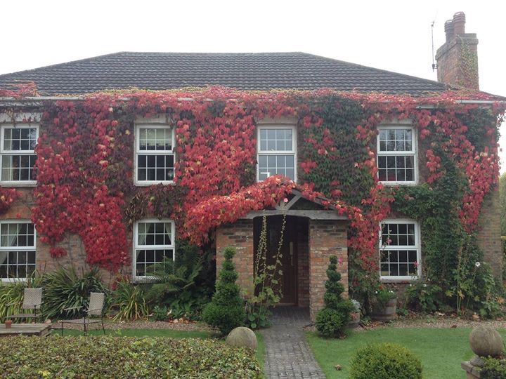 Jockhedge Holiday Cottages