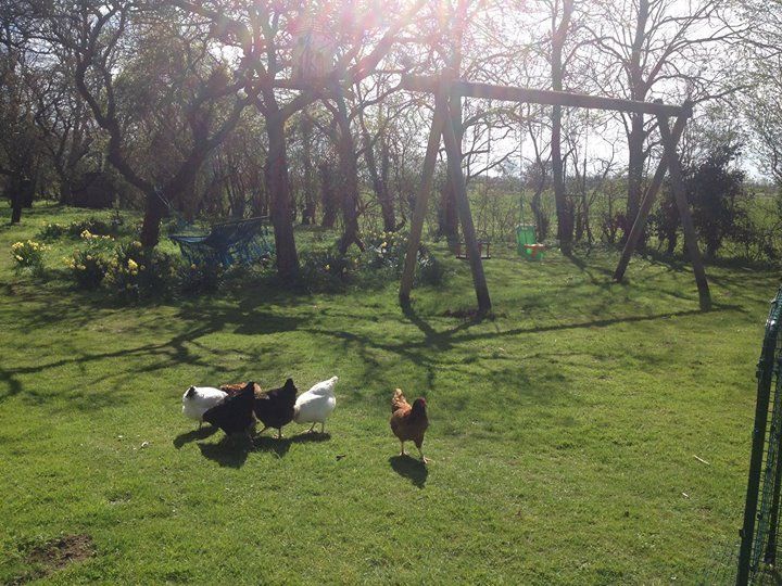 Jockhedge Holiday Cottages - Touring Site