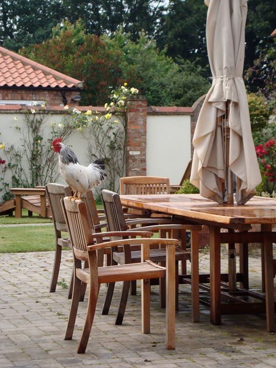 Jockhedge Holiday Cottages