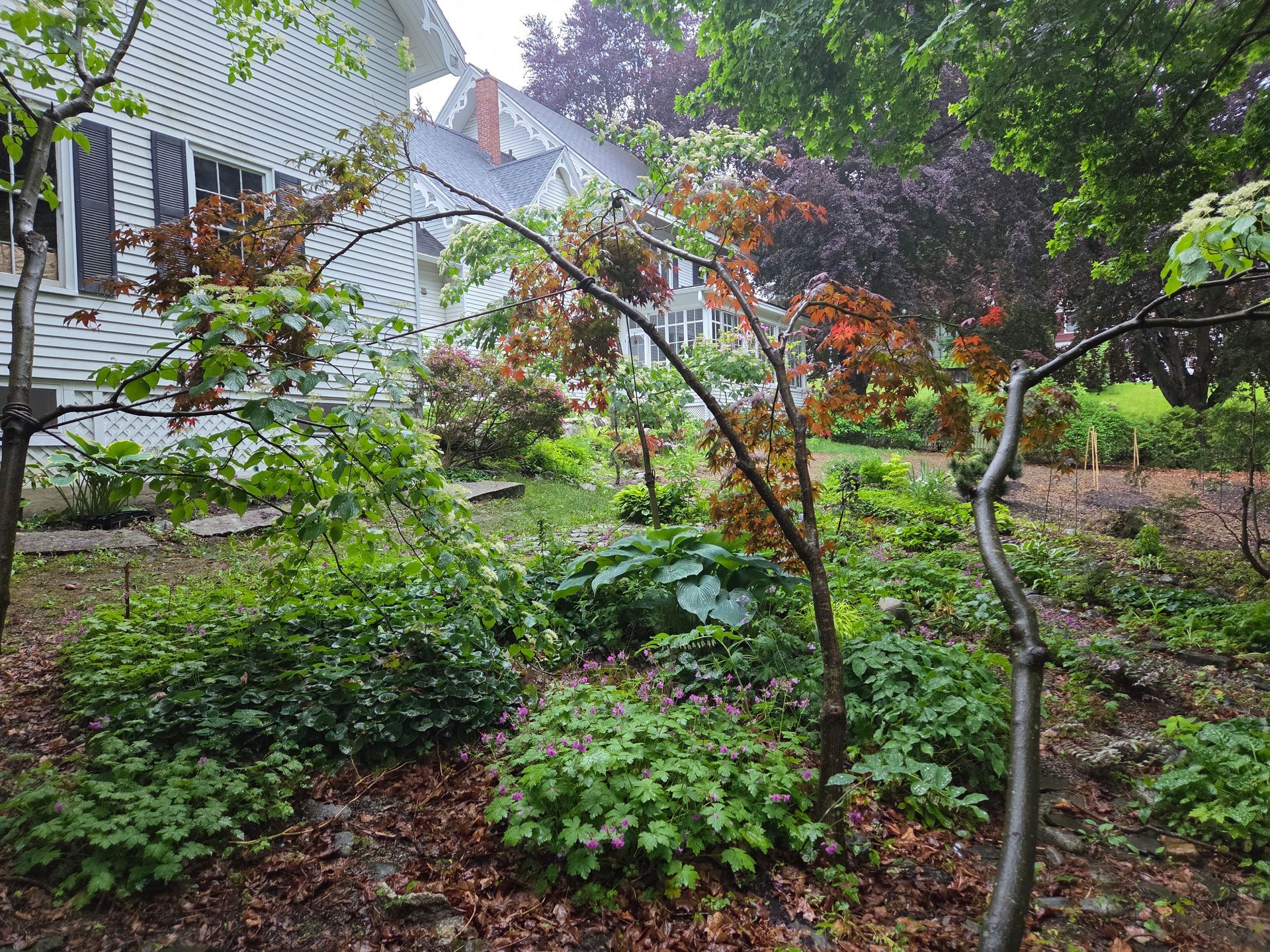 Lush garden with a white house in the background, featuring green and red foliage.