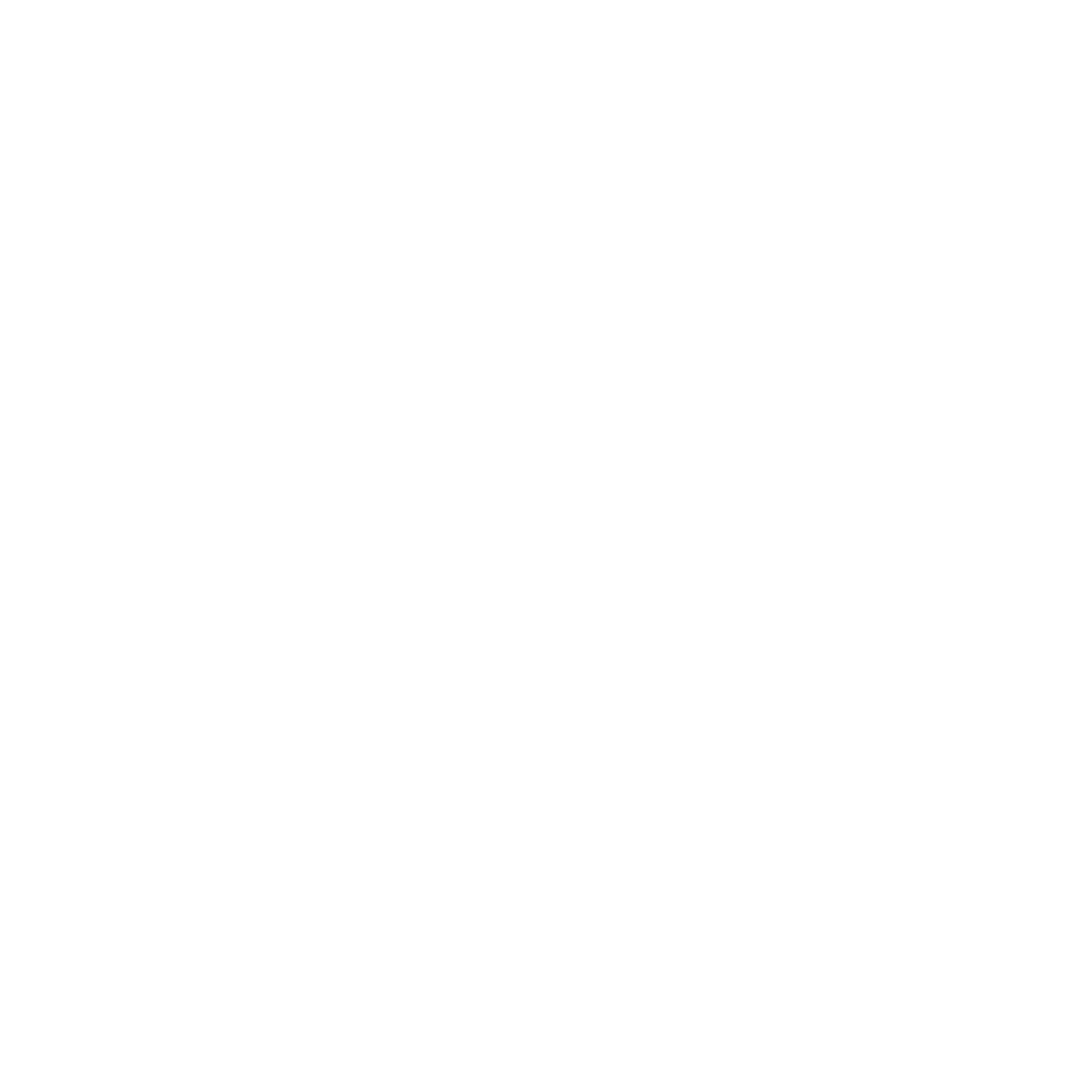 Best Roof Inspections
