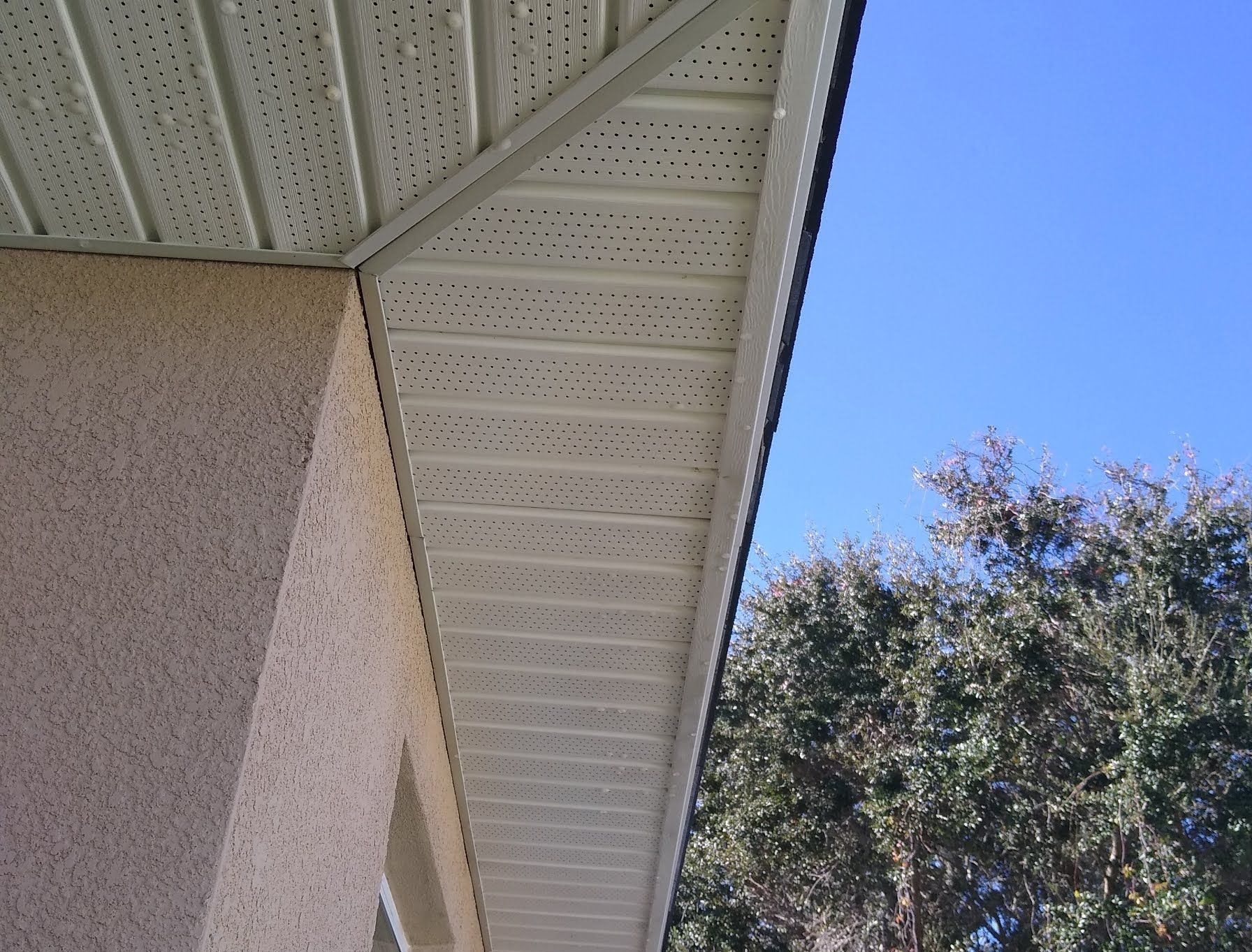 Looking up at the roof of a house with a tree in the background
