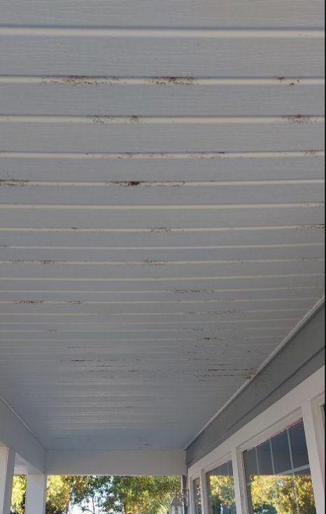 A porch with a white ceiling and a lot of windows