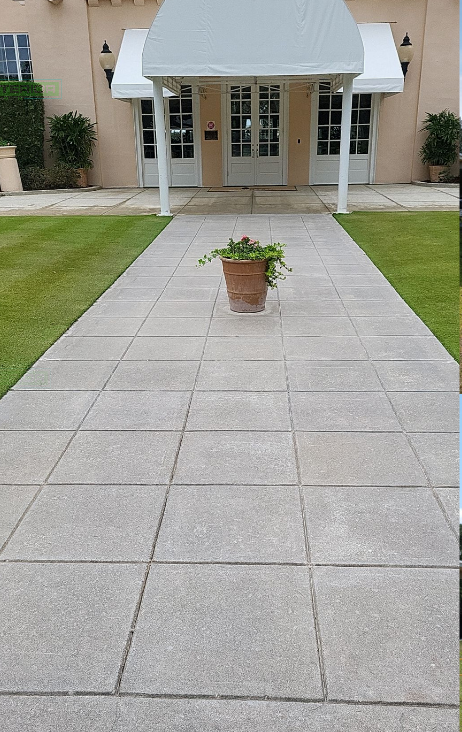 A potted plant is on the sidewalk in front of a building