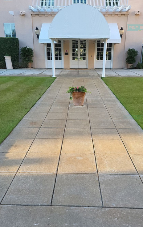 A potted plant is on the sidewalk in front of a building