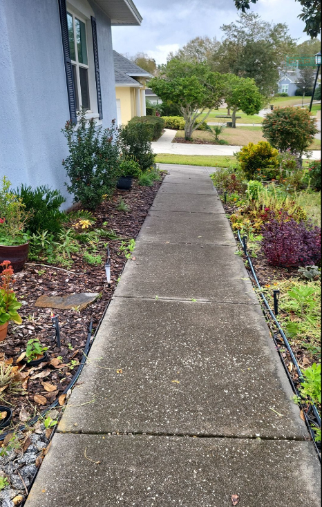 A sidewalk leading to a house surrounded by plants and bushes.