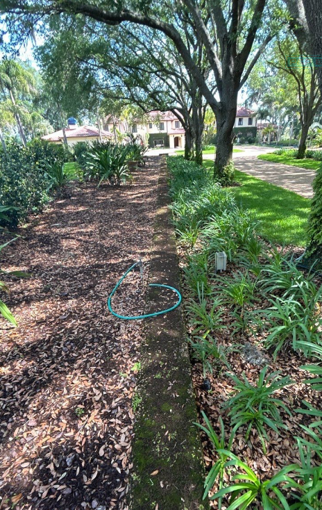 A hose is sitting on the side of a path surrounded by trees.