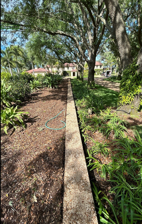 A concrete walkway surrounded by trees and plants in a garden.