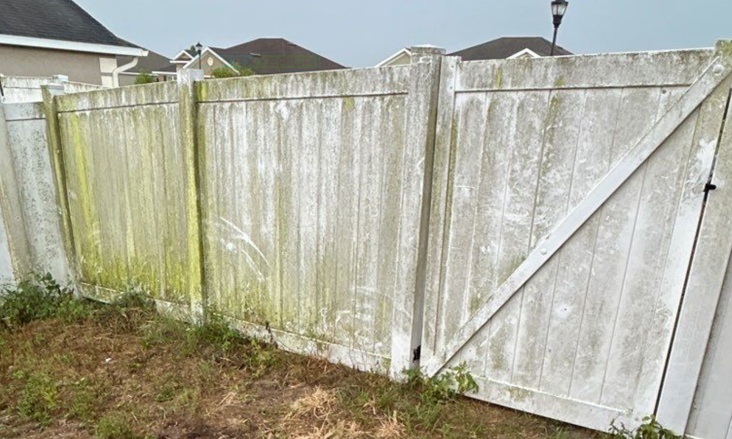 A white wooden fence with green algae growing on it.