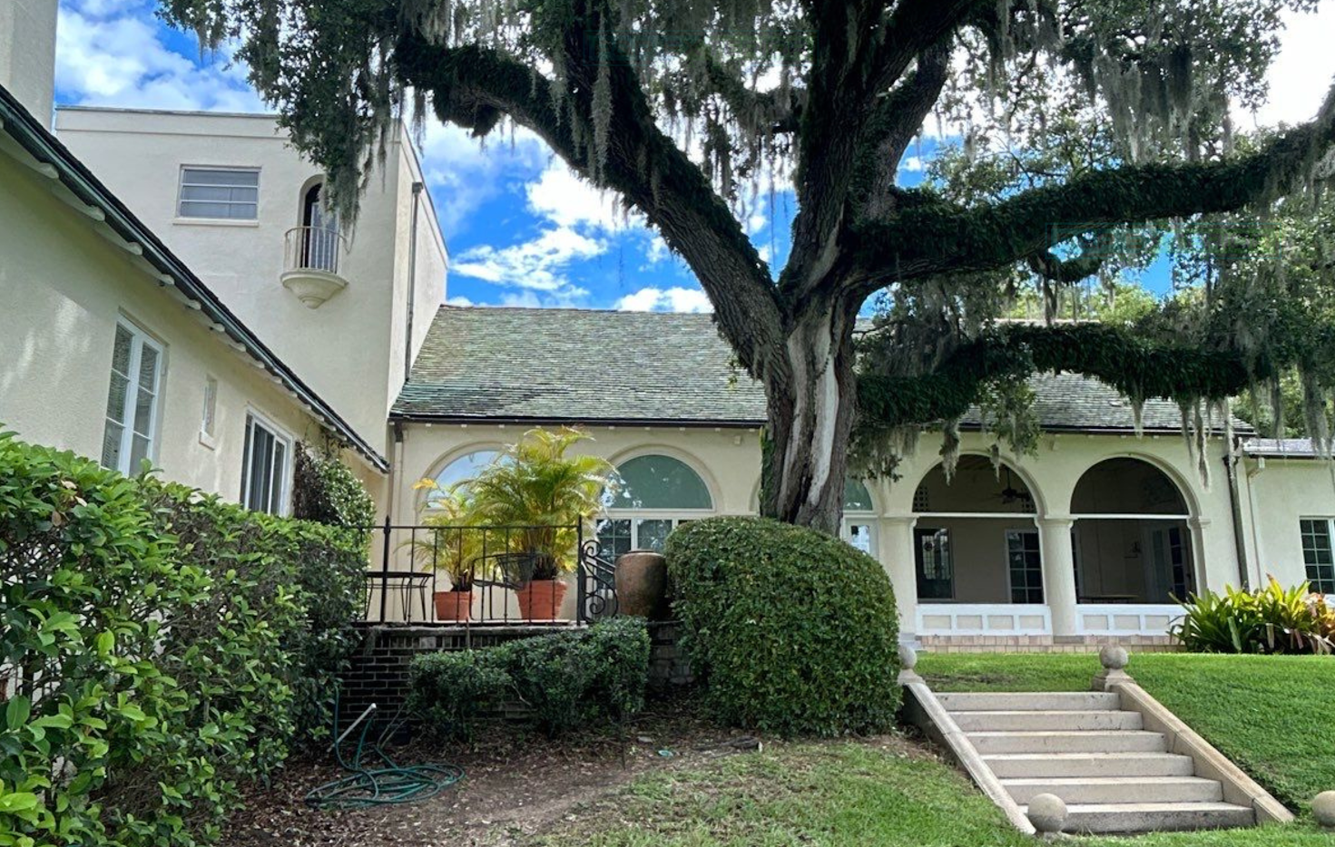 A large white house with a large tree in front of it.