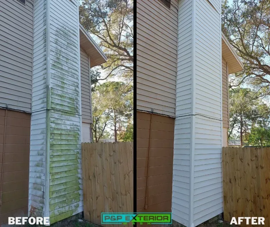 A before and after picture of a house with green algae on the side.