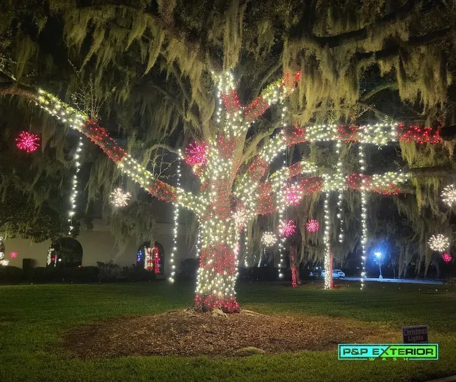 A tree is decorated with christmas lights at night.
