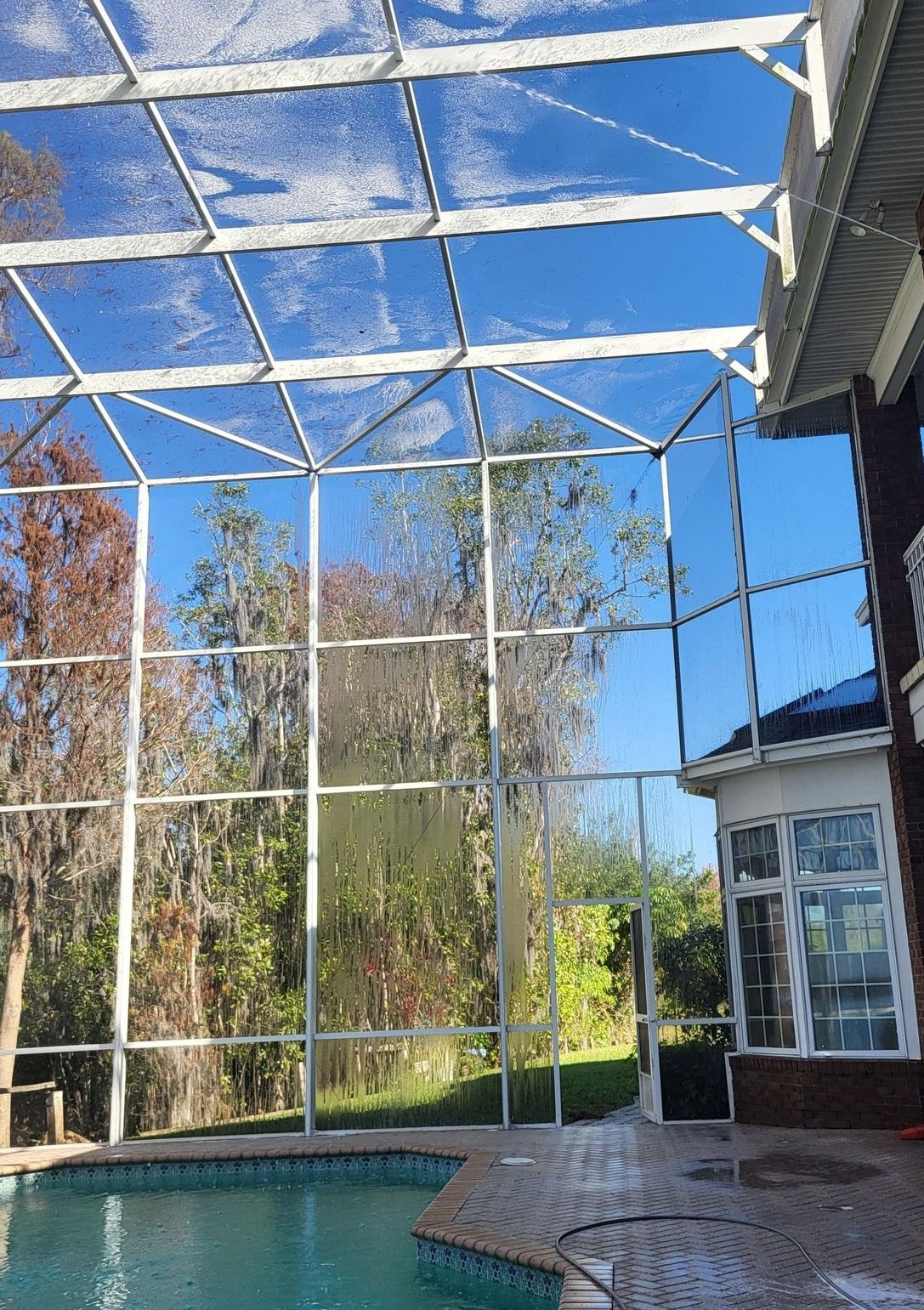 A backyard swimming pool enclosed by a white screen cage, viewed from the patio looking toward trees and a clear blue sky.