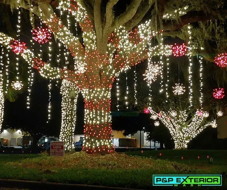A tree with lots of christmas lights on it