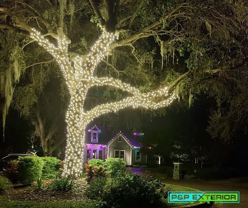 A tree is decorated with christmas lights in front of a house