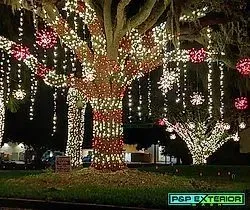 A tree is decorated with christmas lights and snowflakes.