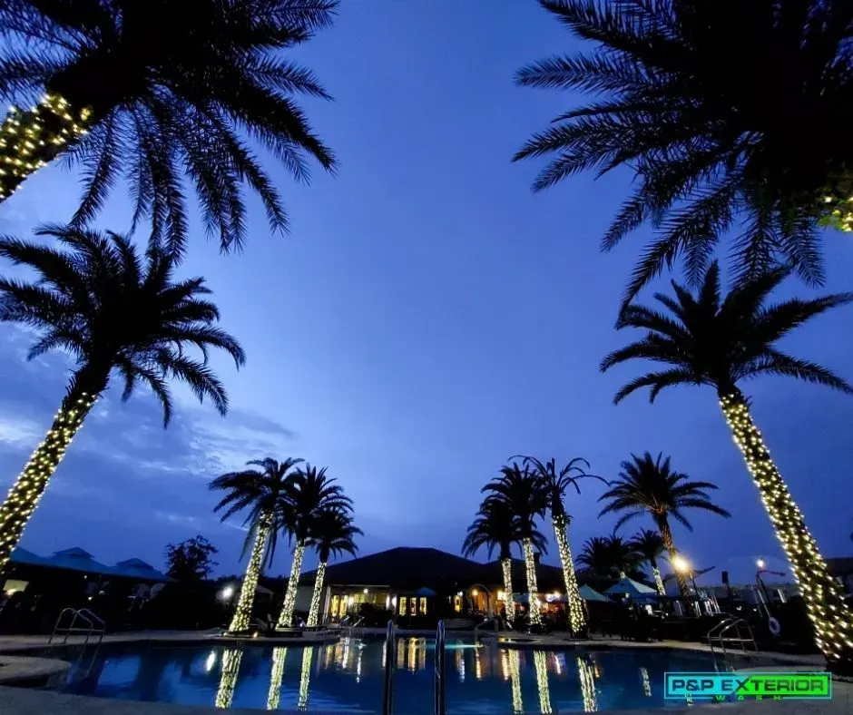 Palm trees are lit up in front of a swimming pool