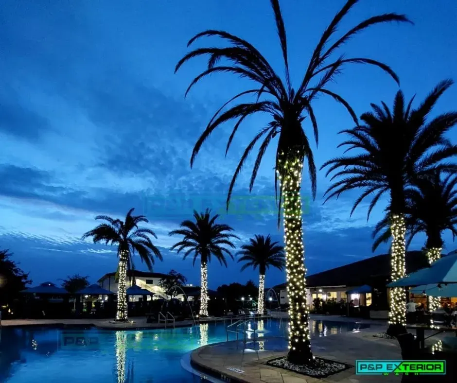 A swimming pool with palm trees decorated with lights