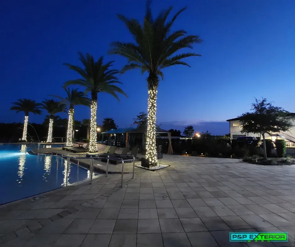 Palm trees are lit up in front of a swimming pool