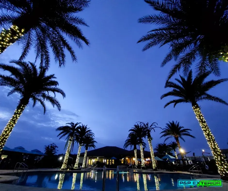 Palm trees are lit up in front of a swimming pool
