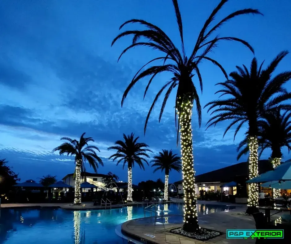 A swimming pool with palm trees decorated with lights